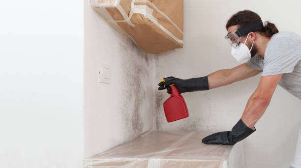 Professional Bathroom Mold Removal technician working in Gloucester, MA